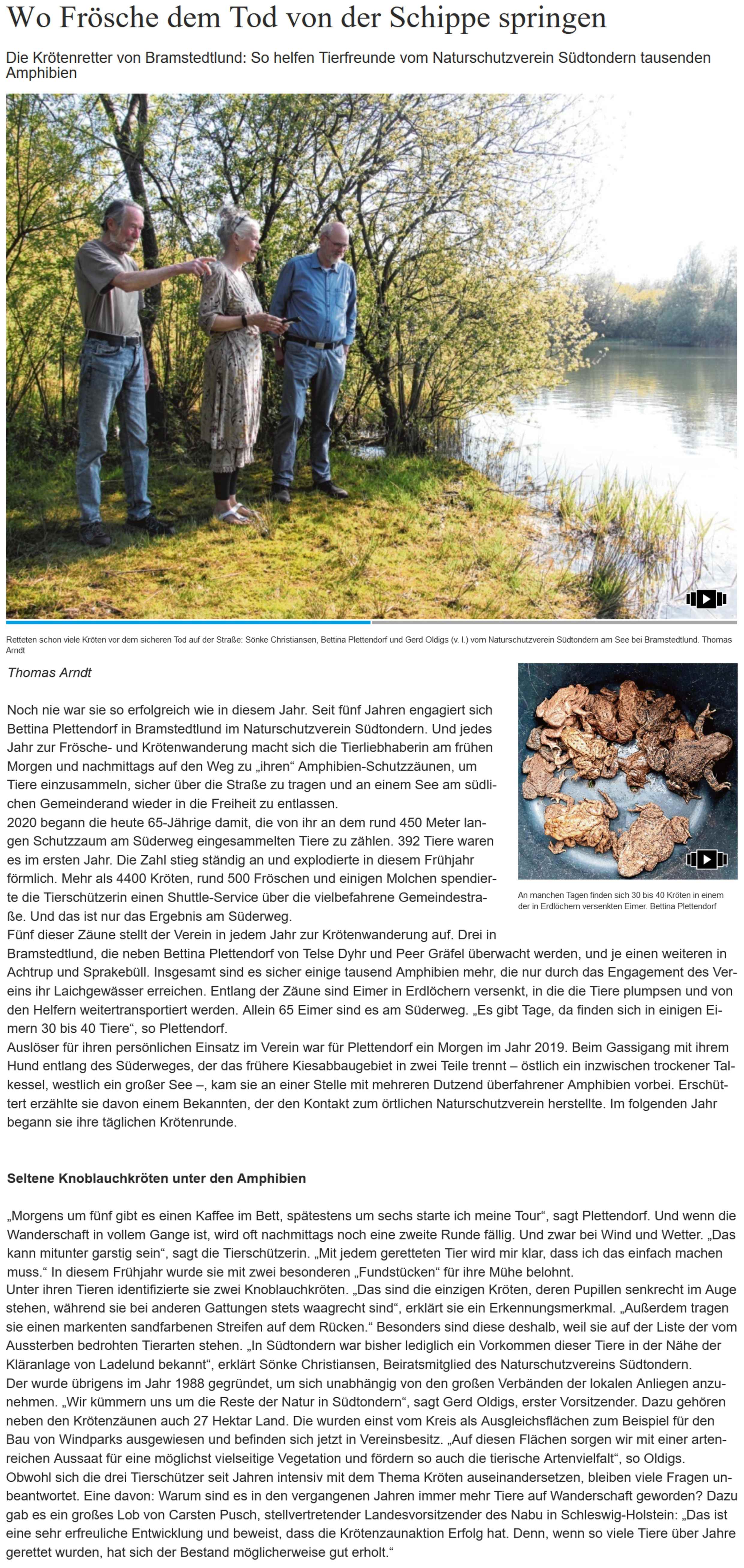 Froschrettung in Bramstedtlund