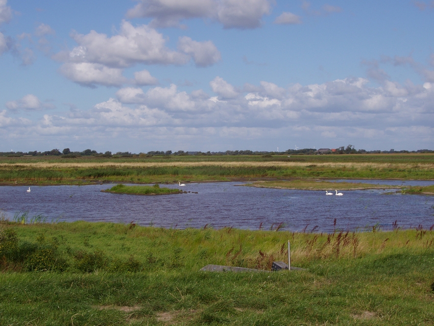Der südliche Teil des Haasberger Sees