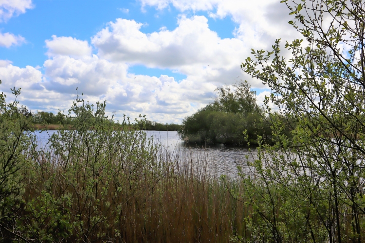 Insel im Kahlebueller See